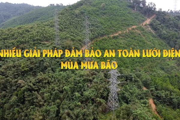 NHIỀU GIẢI PHÁP AN TOÀN ĐẢM BẢO LƯỚI ĐIỆN MÙA MƯA BÃO