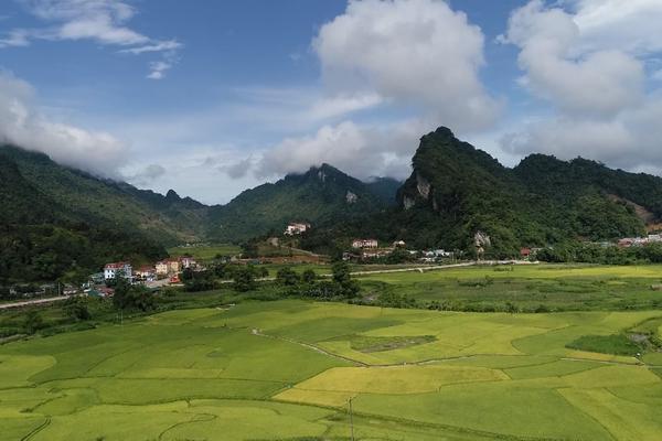 (TTV) Lâm Bình tập trung thu hoạch lúa mùa