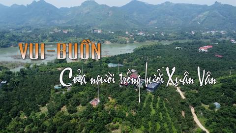 VUI - BUỒN CỦA NGƯỜI TRỒNG BƯỞI XUÂN VÂN