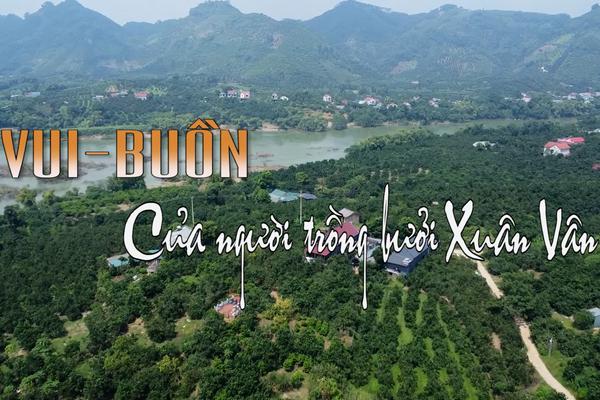 VUI - BUỒN CỦA NGƯỜI TRỒNG BƯỞI XUÂN VÂN