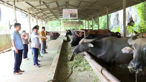 HỖ TRỢ PHÁP LÝ CHO DOANH NGHIỆP (25-9-2024)