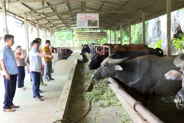 HỖ TRỢ PHÁP LÝ CHO DOANH NGHIỆP (25-9-2024)