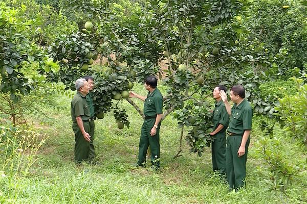 TUYÊN QUANG VỚI PHONG TRÀO HỘI CỰU CHIẾN BINH GƯƠNG MẪU