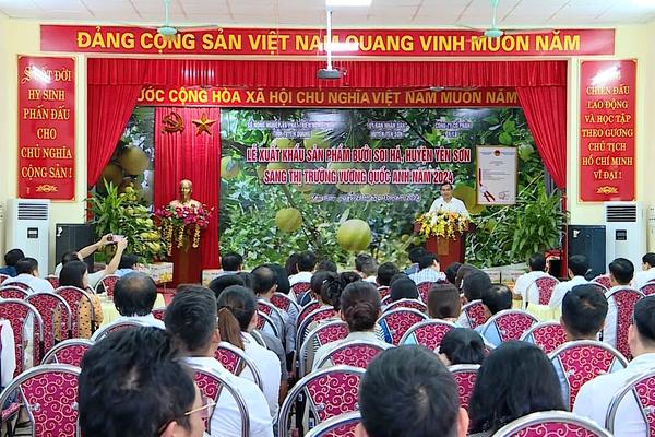 (TTV) Bưởi Soi Hà vươn tầm thế giới