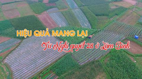 HIỆU QUẢ MANG LẠI TỪ NGHỊ QUYẾT 28 Ở LÂM BÌNH (18-11-2024)