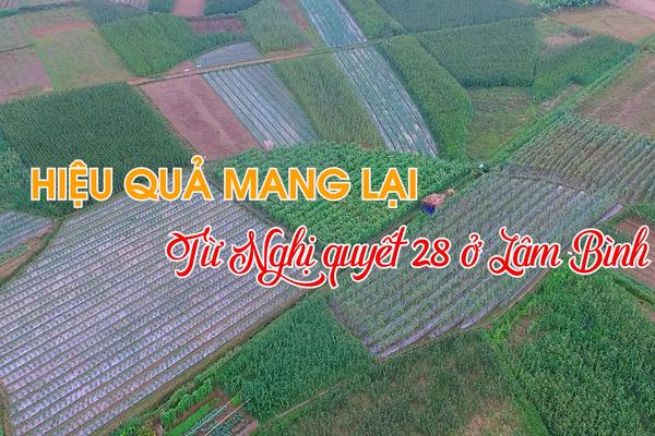 HIỆU QUẢ MANG LẠI TỪ NGHỊ QUYẾT 28 Ở LÂM BÌNH (18-11-2024)