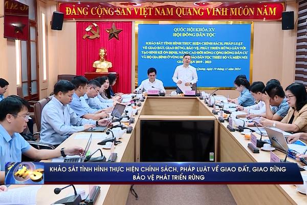 (TTV) Khảo sát tình hình thực hiện chính sách, pháp luật về giao đất, giao rừng, bảo vệ phát triển rừng