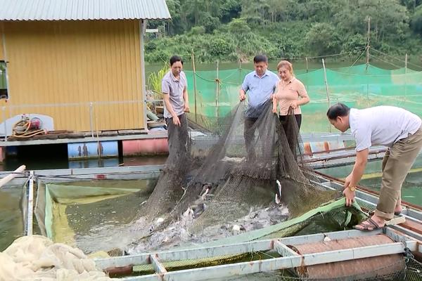 (TTV) Huyện Na Hang phát huy thế mạnh về nuôi trồng thủy sản