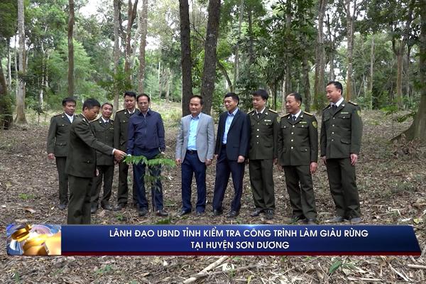 (TTV) Lãnh đạo tỉnh kiểm tra công trình làm giàu rừng tại huyện Sơn Dương