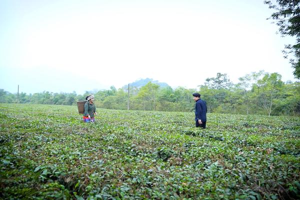 CHUYỆN TRONG NHÀ NGOÀI NGÕ: CHẤT CỦA NGƯỜI MÔNG (TẬP 23)