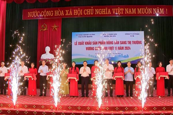 (TTV) Nông nghiệp Tuyên Quang một năm bứt phá