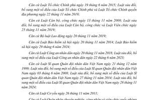 NGHỊ ĐỊNH QUY ĐỊNH CHẾ ĐỘ, CHÍNH SÁCH ĐỐI VỚI CÁC TRƯỜNG HỢP KHÔNG TÁI CỬ, TÁI BỔ NHIỆM VÀ CÁN BỘ THÔI VIỆC, NGHỈ HƯU THEO NGUYỆN VỌNG  ;