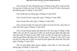 NGHỊ ĐỊNH VỀ CHÍNH SÁCH, CHẾ ĐỘ ĐỐI VỚI CÁN BỘ, CÔNG CHỨC, VIÊN CHỨC NGƯỜI LAO ĐỘNG VÀ LỰC LƯỢNG VŨ TRANG TRONG THỰC HIỆN SẮP XẾP TỔ CHỨC BỘ MÁY CỦA HỆ THỐNG CHÍNH TRỊ ;