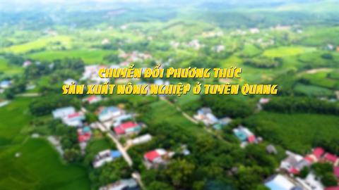 CHUYỂN ĐỔI PHƯƠNG THỨC SẢN XUẤT NÔNG NGHIỆP Ở TUYÊN QUANG (5-1-2025)