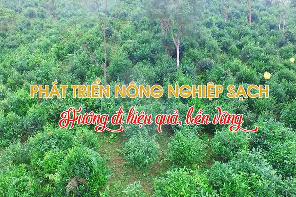 PHÁT TRIỂN NÔNG NGHIỆP SẠCH HƯỚNG ĐI HIỆU QUẢ BỀN VỮNG