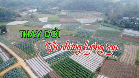 THAY ĐỔI TỪ NHỮNG LUỐNG RAU (16-1-2025)