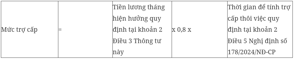 Hướng dẫn cách tính hưởng chính sách thôi việc đối với viên chức và người lao động - Ảnh 1.