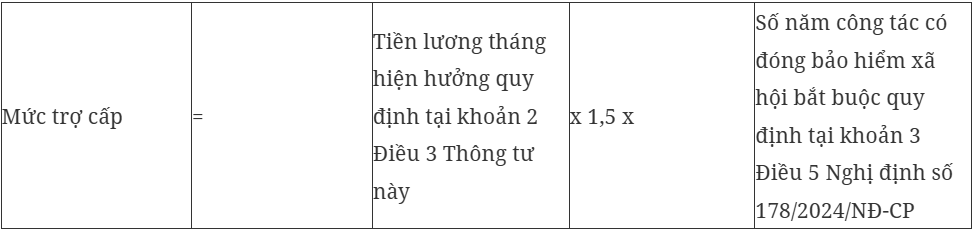 Hướng dẫn cách tính hưởng chính sách thôi việc đối với viên chức và người lao động - Ảnh 3.