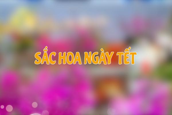 SẮC HOA NGÀY TẾT (18-1-2025)