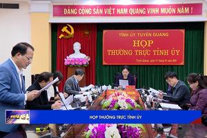 (TTV) HỌP THƯỜNG TRỰC TỈNH ỦY