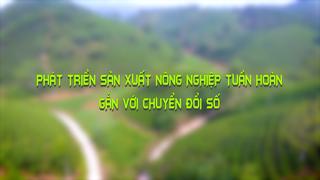 PHÁT TRIỂN NÔNG NGHIỆP TUẦN HOÀN GẮN VỚI CHUYỂN ĐỔI SỐ (25-2-2025)