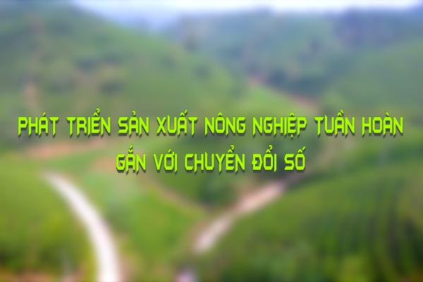 PHÁT TRIỂN NÔNG NGHIỆP TUẦN HOÀN GẮN VỚI CHUYỂN ĐỔI SỐ (25-2-2025)