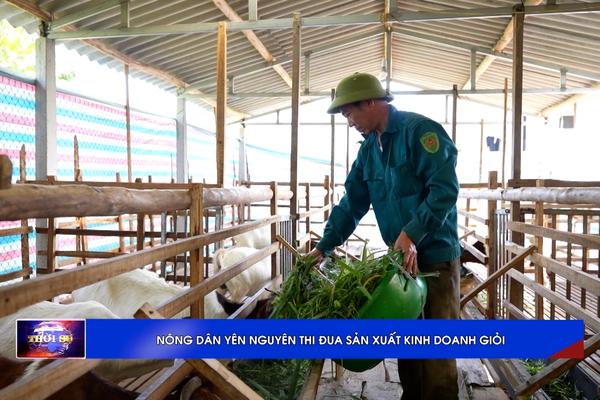 (TTV) Nông dân Yên Nguyên thi đua sản xuất kinh doanh giỏi