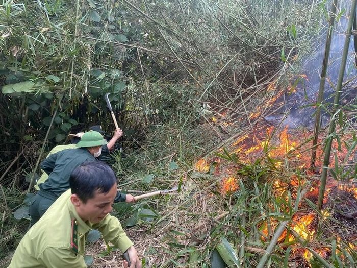 Cháy rừng ở Tuyên Quang, hơn 1.000 người chữa cháy trong đêm - Ảnh 2.