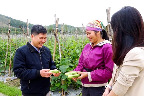 (TTV) Kết nối chuỗi giá trị trong sản xuất nông nghiệp bền vững