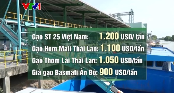 Gạo Việt đắt hàng - Ảnh 1.