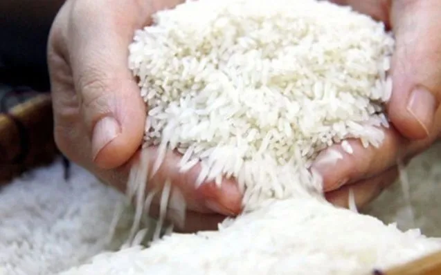 Gạo Việt đắt hàng