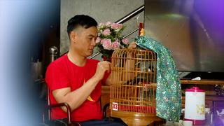 DIỀU NGƯỢC GIÓ (3-5-2025)