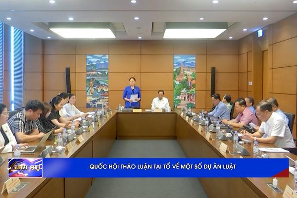 (TTV) Quốc hội thảo luận tại tổ về một số dự án Luật