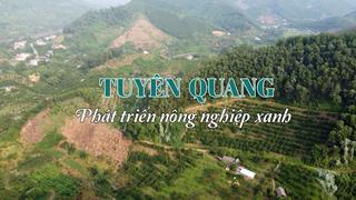 TUYÊN QUANG PHÁT TRIỂN NÔNG NGHIỆP XANH