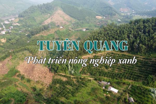 TUYÊN QUANG PHÁT TRIỂN NÔNG NGHIỆP XANH