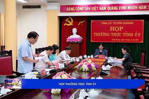 (TTV) Họp Thường trực Tỉnh ủy