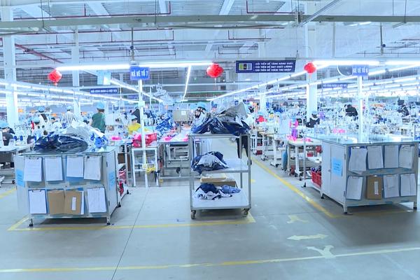 (TTV) Doanh nghiệp Tuyên Quang vươn xa nhờ chuyển đổi số
