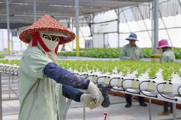 Cảnh giác với thông tin tuyển lao động đi Israel: Bộ Nội vụ ra khuyến cáo