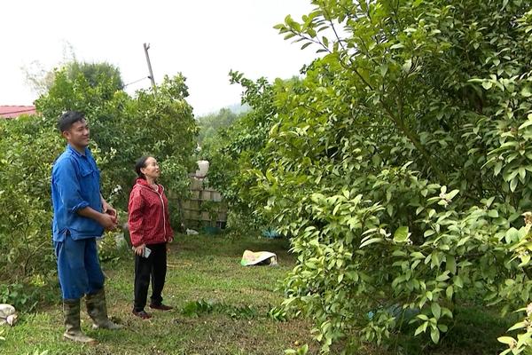 (TTV) Đẩy mạnh phát triển kinh tế, xây dựng nông thôn mới