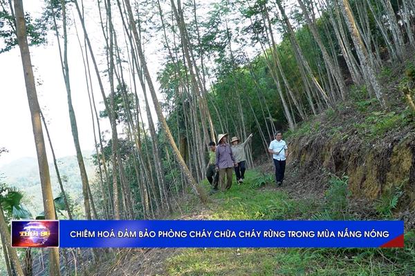 (TTV) Chiêm Hóa đảm bảo phòng cháy chữa cháy rừng trong mùa nắng nóng