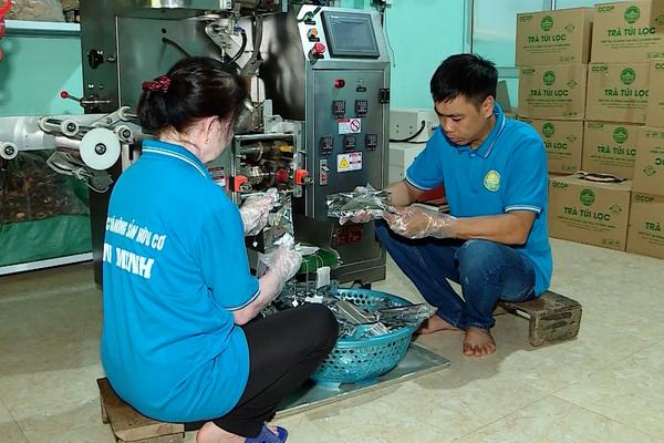 (TTV) Tiếp sức doanh nghiệp, hợp tác xã phát triển