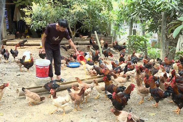 (TTV) Tạo sinh kế cho người dân thoát nghèo