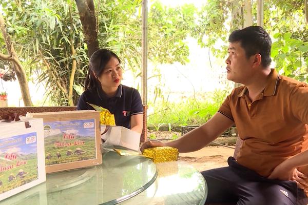 (TTV) Chiêm Hóa phát triển sản phẩm OCOP từ tiềm năng, thế mạnh của địa phương