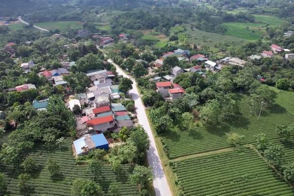 (TTV) Yên Sơn nỗ lực giảm nghèo, nâng cao thu nhập cho người dân