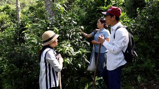 TRẢI NGHIỆM CHÈ KHAU MÚT