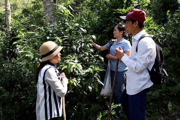TRẢI NGHIỆM CHÈ KHAU MÚT