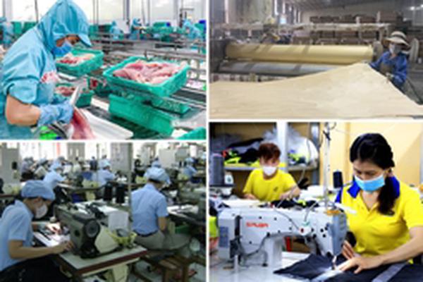 Thành lập Ban Chỉ đạo quốc gia triển khai Nghị quyết số 68-NQ/TW về phát triển kinh tế tư nhân