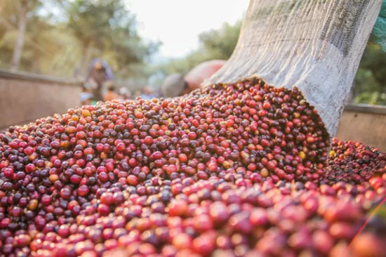 Doanh nghiệp xuất khẩu: Đi bằng hai chân để vươn xa bền vững - Ảnh 1.