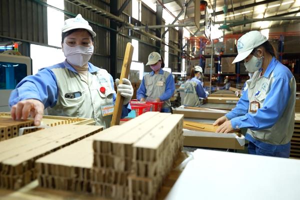(TTV) Nhiều biện pháp thúc đẩy sản xuất gỗ tinh chế
