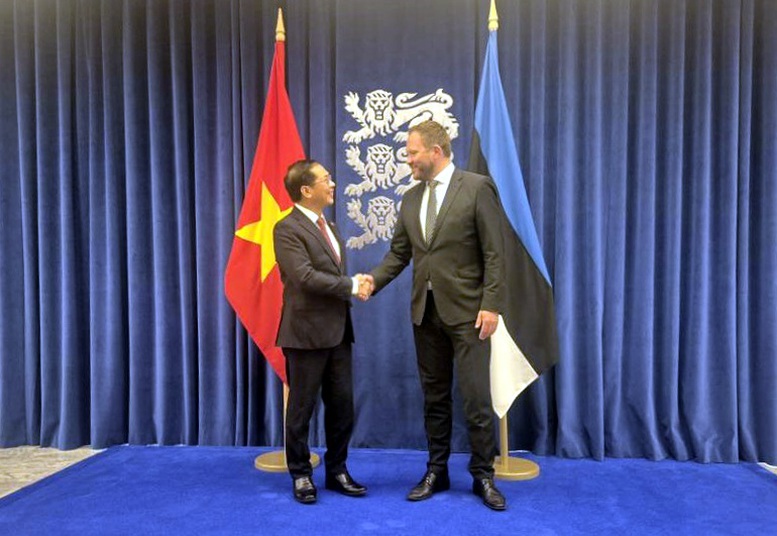 Cần sớm triển khai cơ chế tham vấn chính trị giữa hai Bộ Ngoại giao Việt Nam và Estonia- Ảnh 1.
